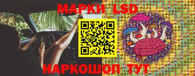 индика Владикавказ