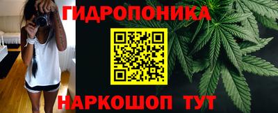 jwh Владимир