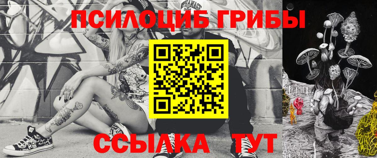 Борзя  Галлюциногенные грибы Cubensis  Вход с VPN 